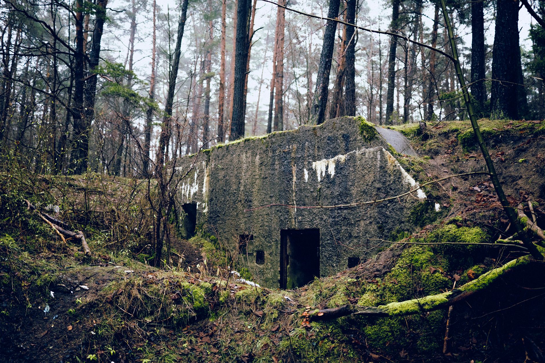 a preserved Second World War-era concrete defensive emplacement on a grassy coastal bluff overlooking the English Channel, with weathered steel and eroded walls visible