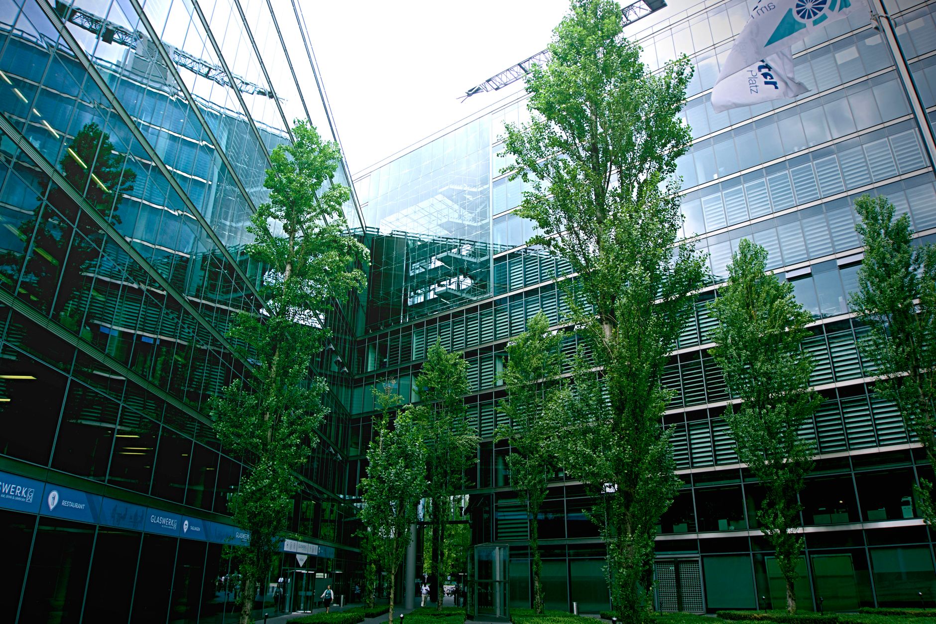 an Israeli technology campus exterior with glass office buildings and manicured grounds, wide environmental shot