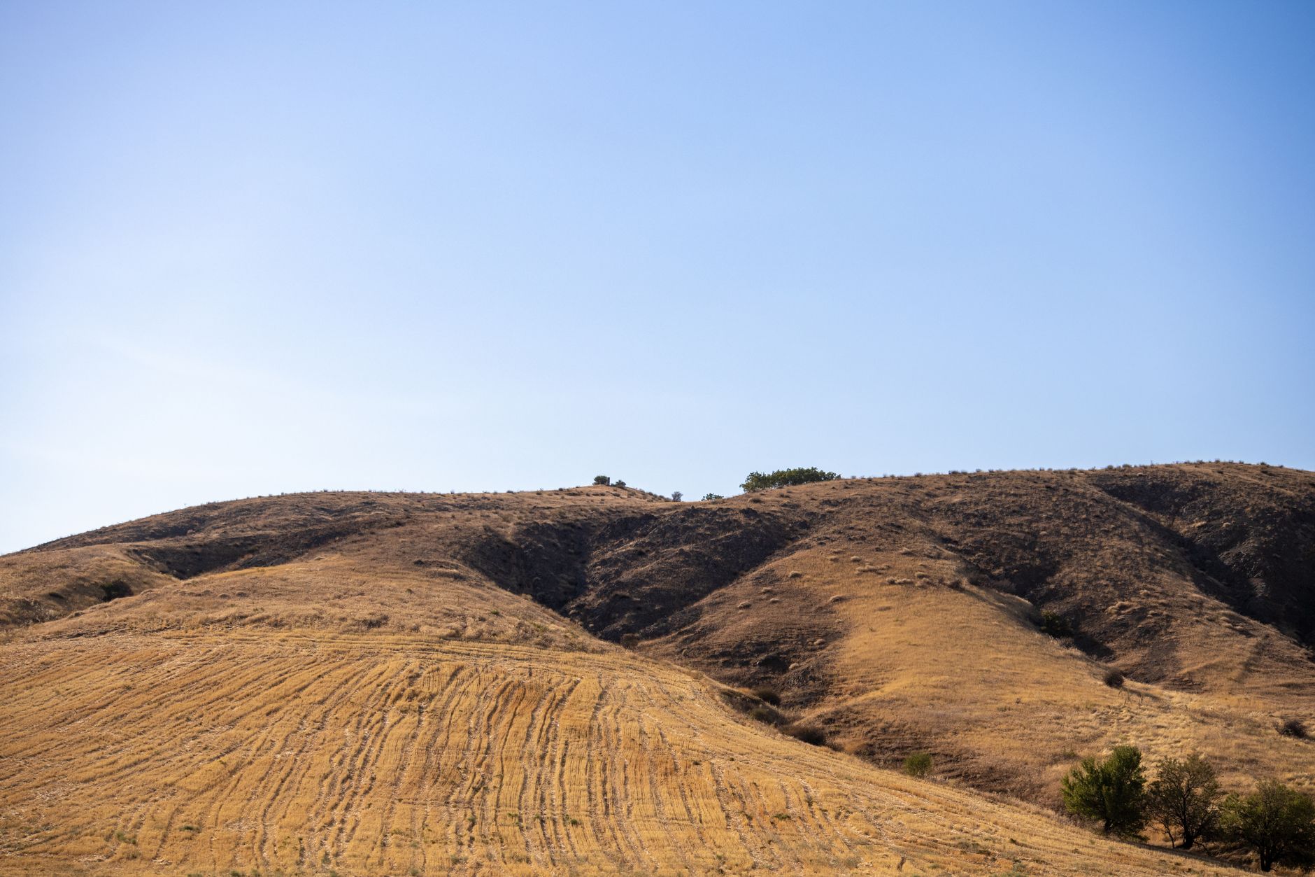 rows of Iron Dome interceptor launchers positioned in an open field, with arid terrain and clear sky in the background