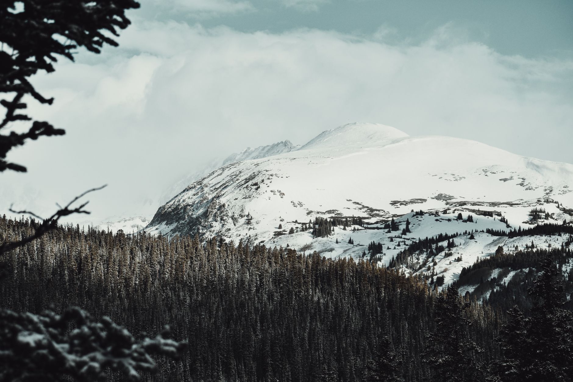 a wide aerial view of a remote Alaskan wilderness landscape with snow-covered mountain ridges and dense spruce forest, no structures visible