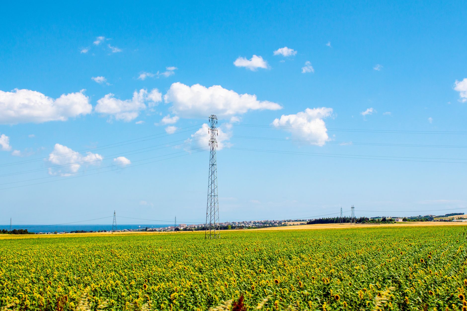 rows of Arrow and Iron Dome missile interceptor launchers deployed in an open field under a clear sky, wide environmental shot with no personnel in foreground