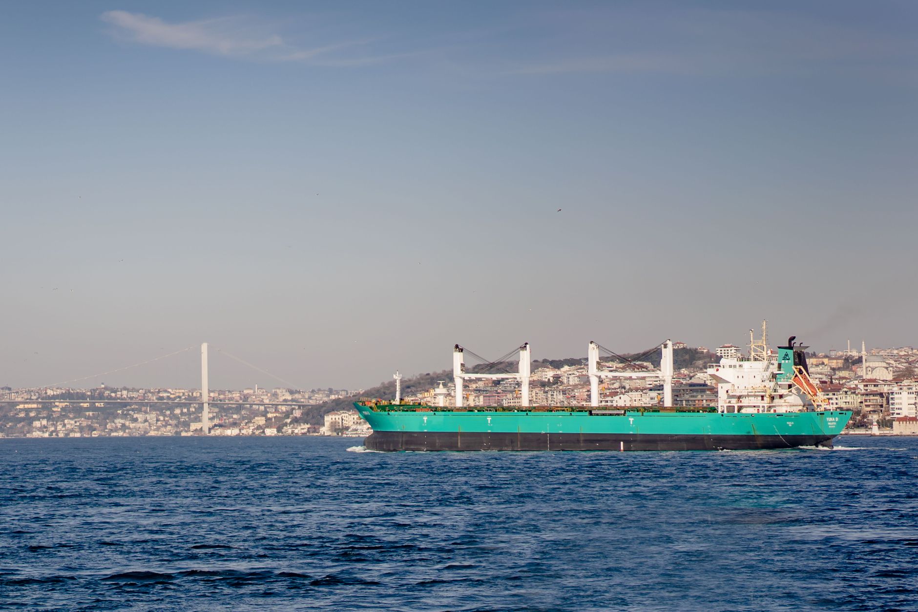 a large commercial cargo vessel transiting a narrow international strait, viewed from a coastal elevation with no other vessels in frame
