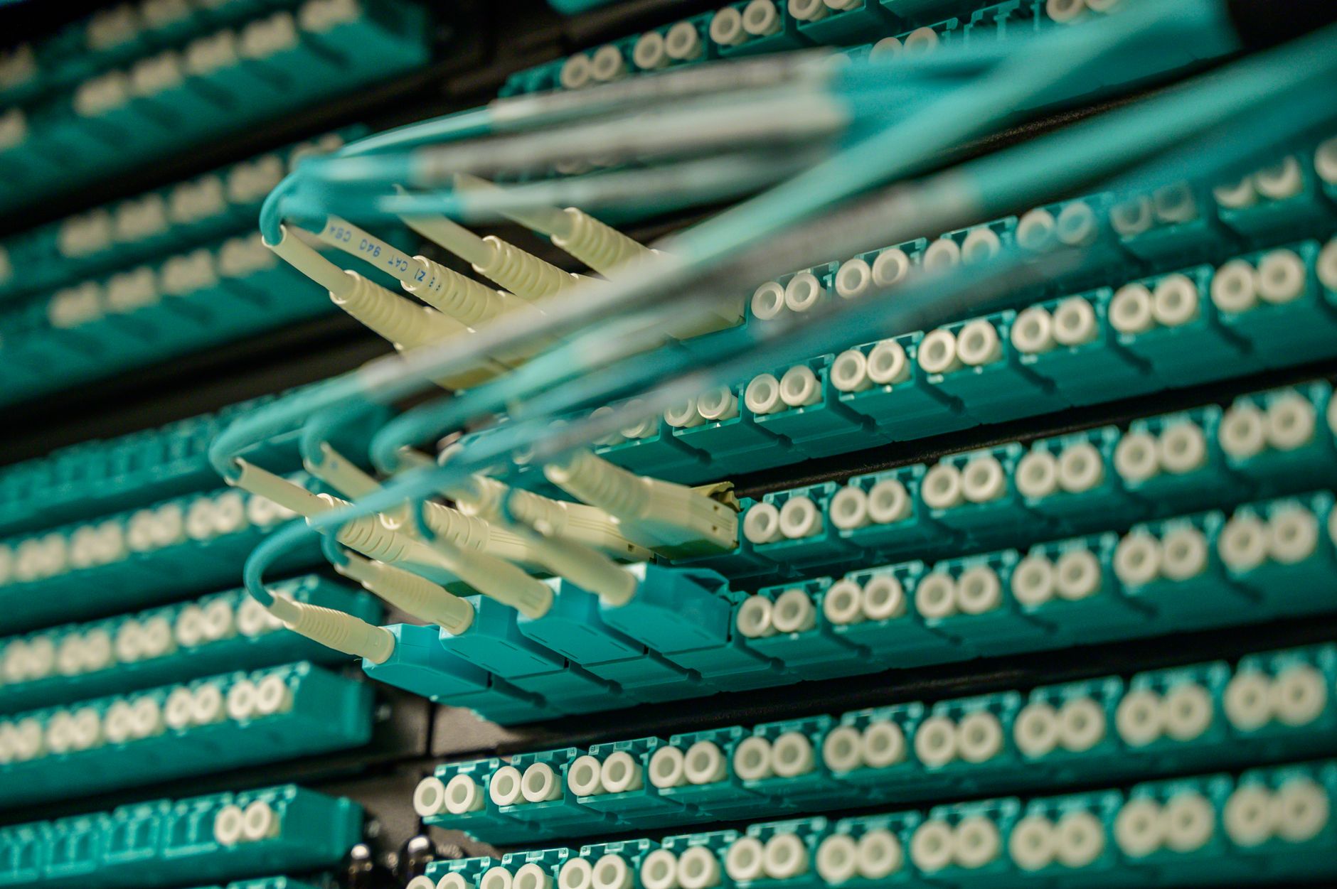 a server rack room with fiber-optic cable bundles illuminated by blue indicator lights, seen from a wide floor-level angle inside a data center facility