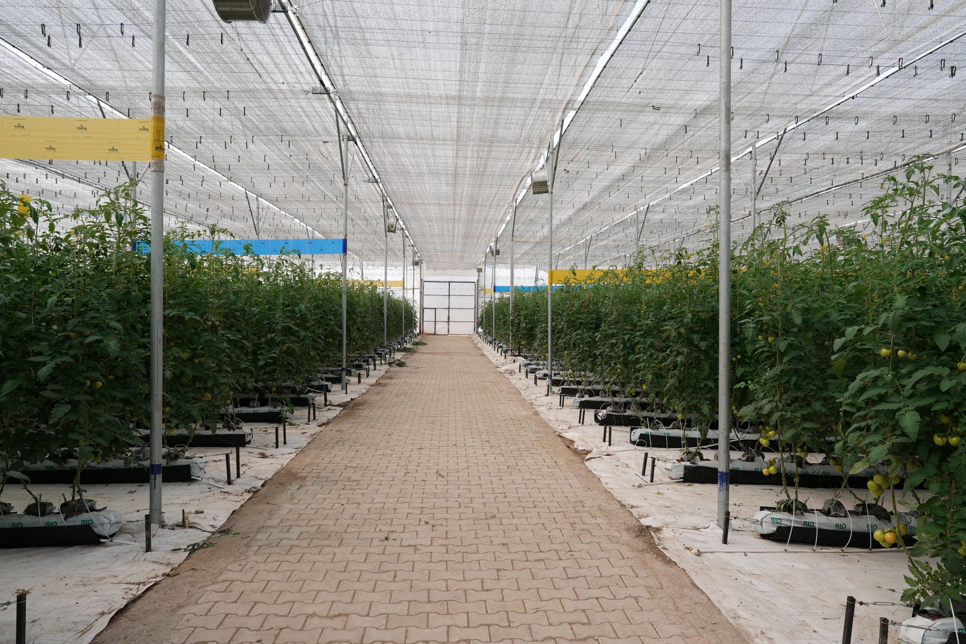 rows of finished missile interceptor canisters staged inside a large climate-controlled weapons production facility, industrial lighting overhead