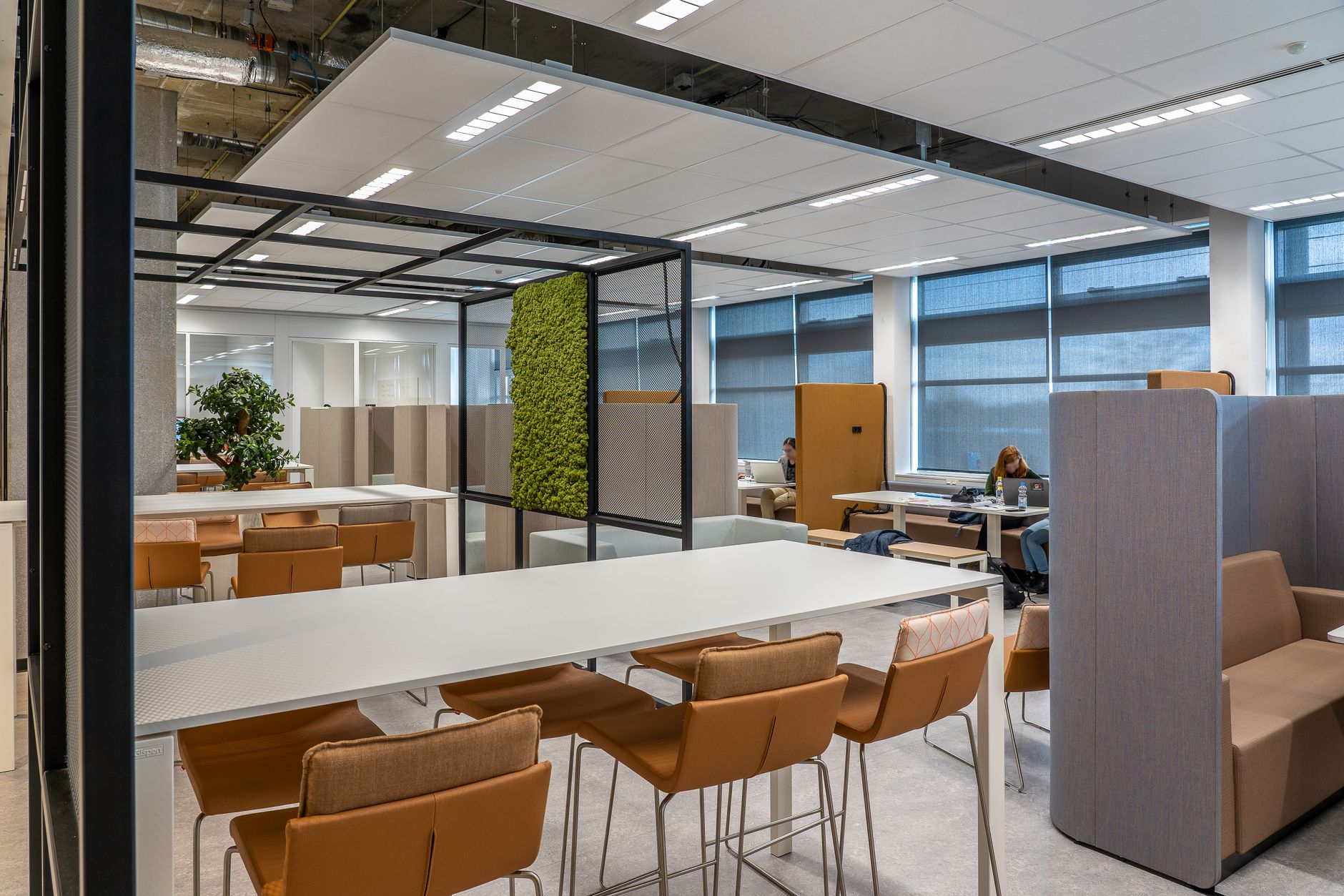 rows of workstations inside a startup open-plan office space with large windows, server racks visible in a glass-walled room beyond, no people as focal point