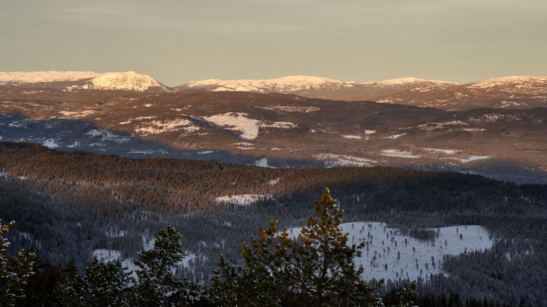 EOD equipment laid out on snow-covered Norwegian terrain near a military field camp, with conifer forest visible in the background