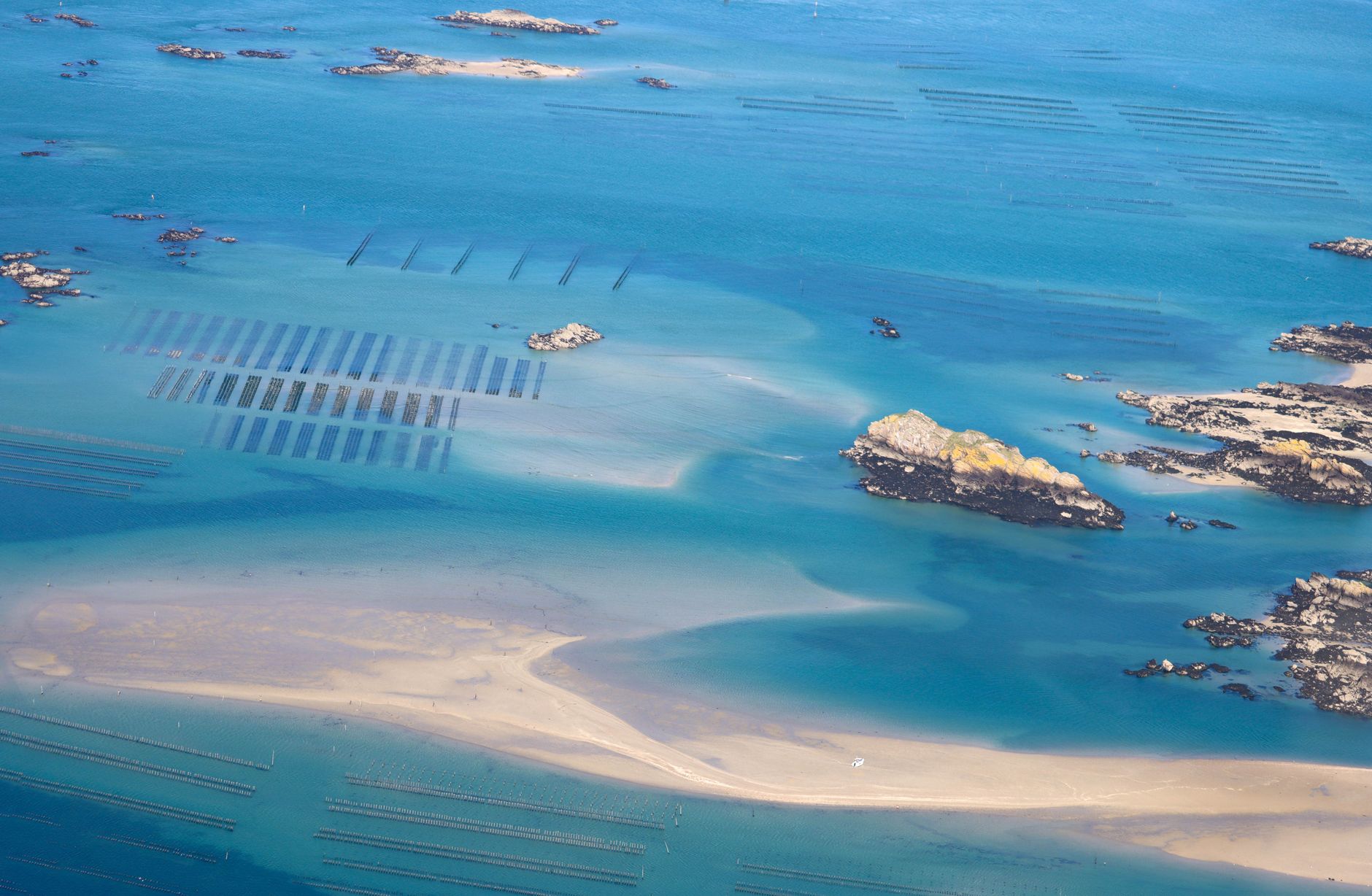 aerial view of large open-water aquaculture fish farm with circular net pens arranged in rows along a coastal inlet