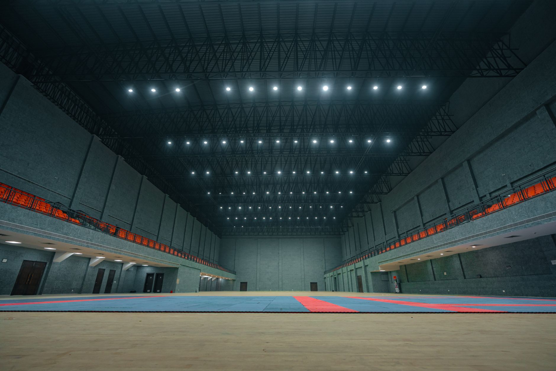 an empty mixed martial arts cage with the octagon fence and mat visible under arena lighting, no crowd or people as focal point