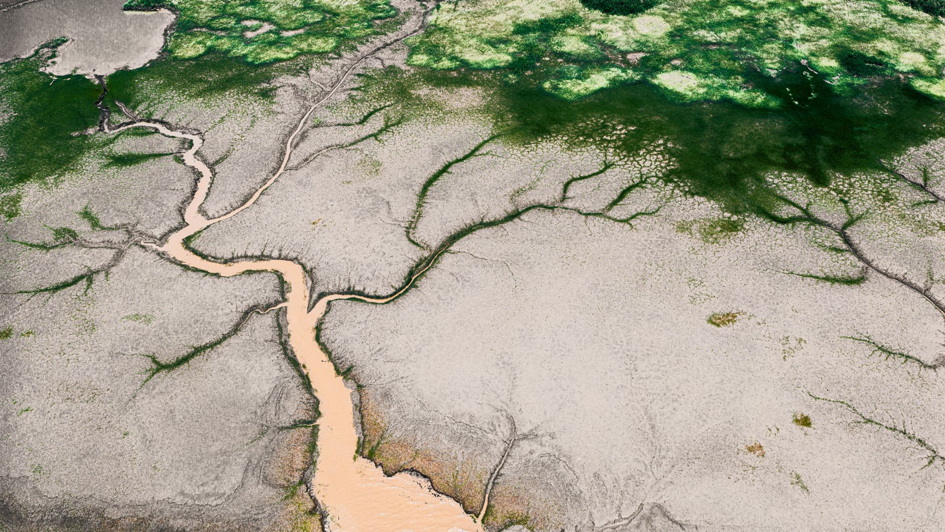 a shallow-draft patrol vessel moored along a wide river delta, surrounded by dense riparian vegetation and muddy brown water